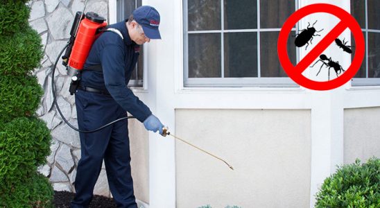 Kızılırmak Haşere İlaçlama böcek ilaçlama ve haşere kontrolü — ilaclama-tr.com